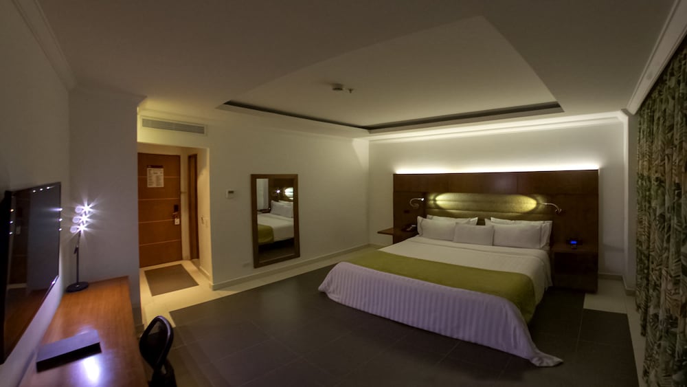Single Room, 1 King Bed photo 3