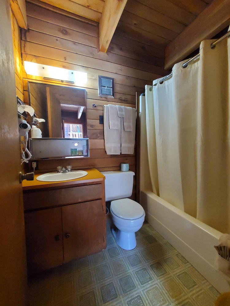 Standard Room, 1 Queen Bed (v - Pet Friendly) photo 2