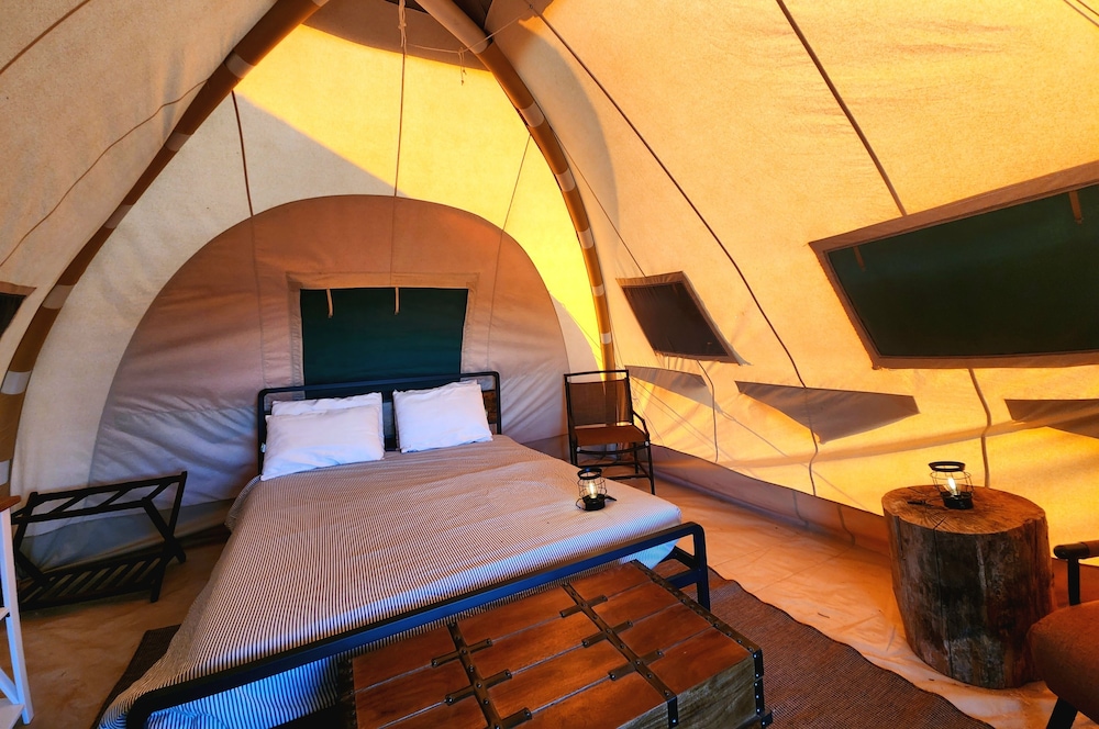 Economy Tent photo 3