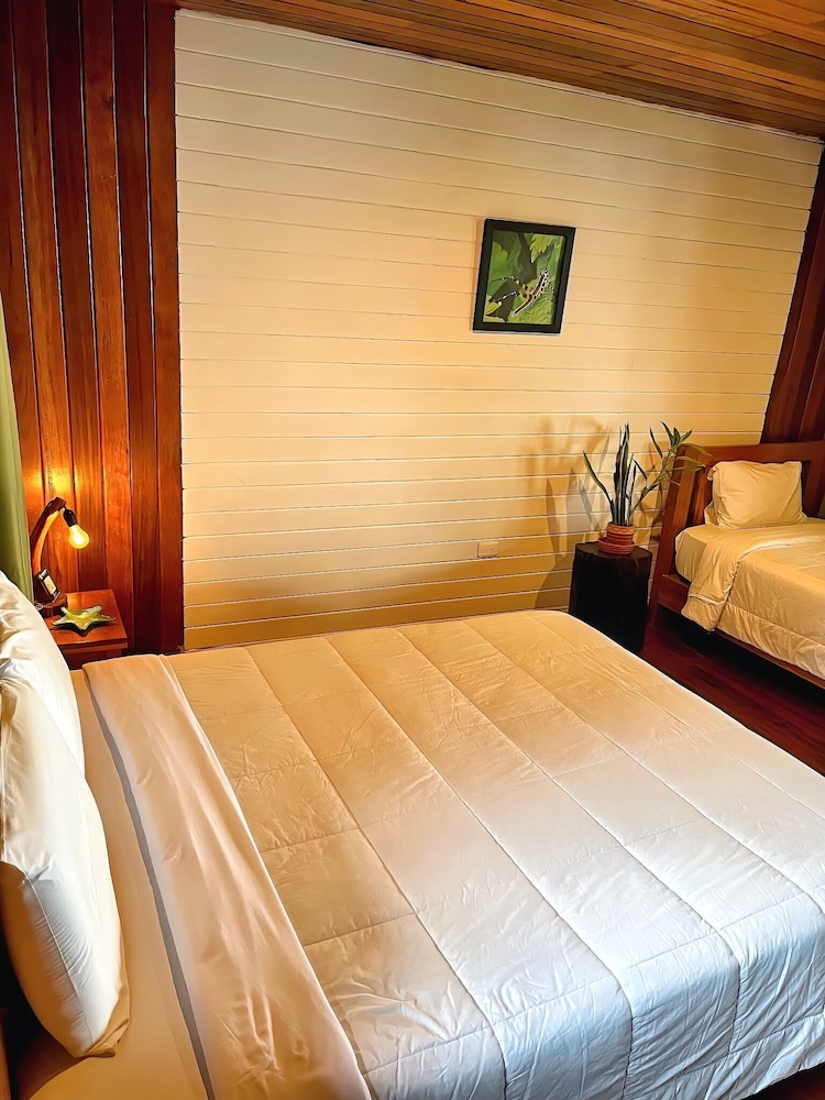 Basic Triple Room, Multiple Beds, Non Smoking photo 2