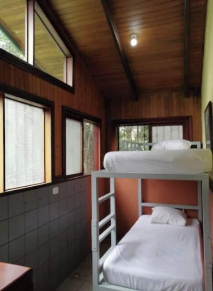 Family Cabin, Mountain View photo 3