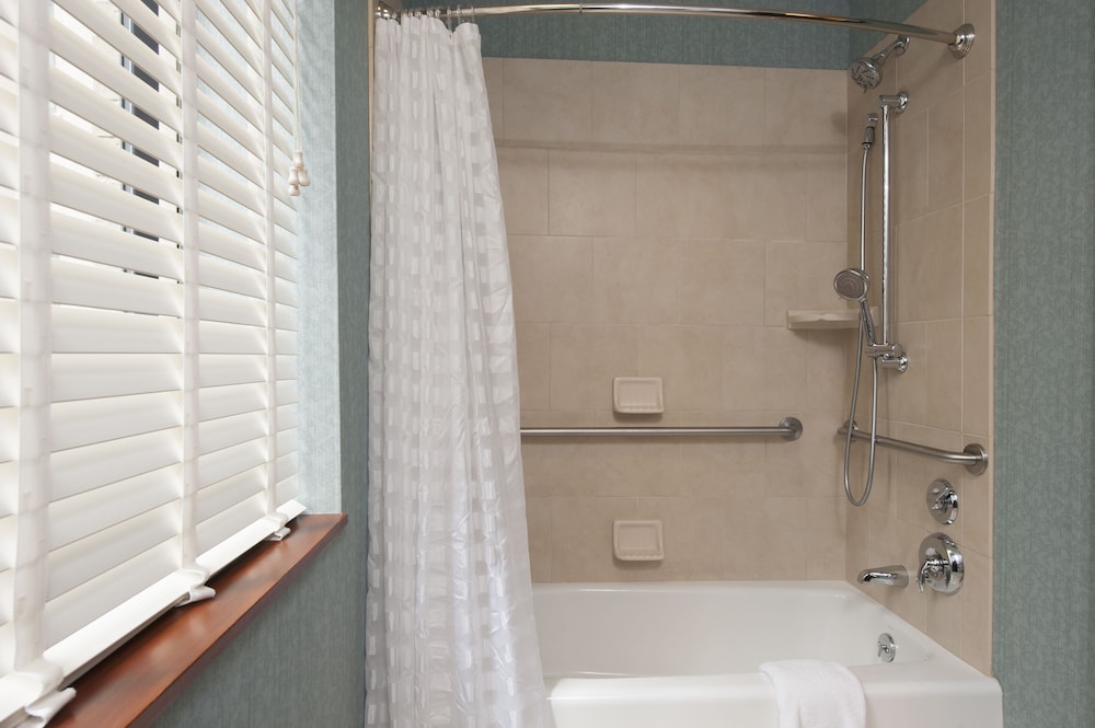 Room, 1 King Bed, Accessible (With Sofa bed, Shower/Tub) - Photo 5
