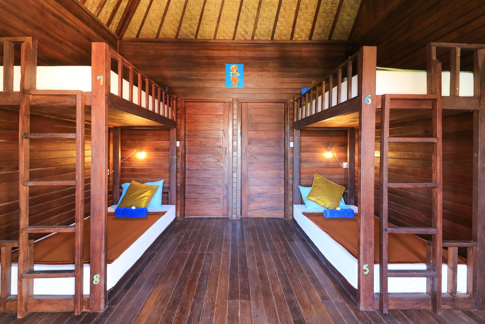 Shared Dormitory photo 1