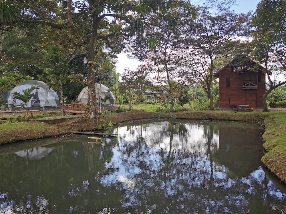 Basic Cottage, Non Smoking, Lake View photo 2