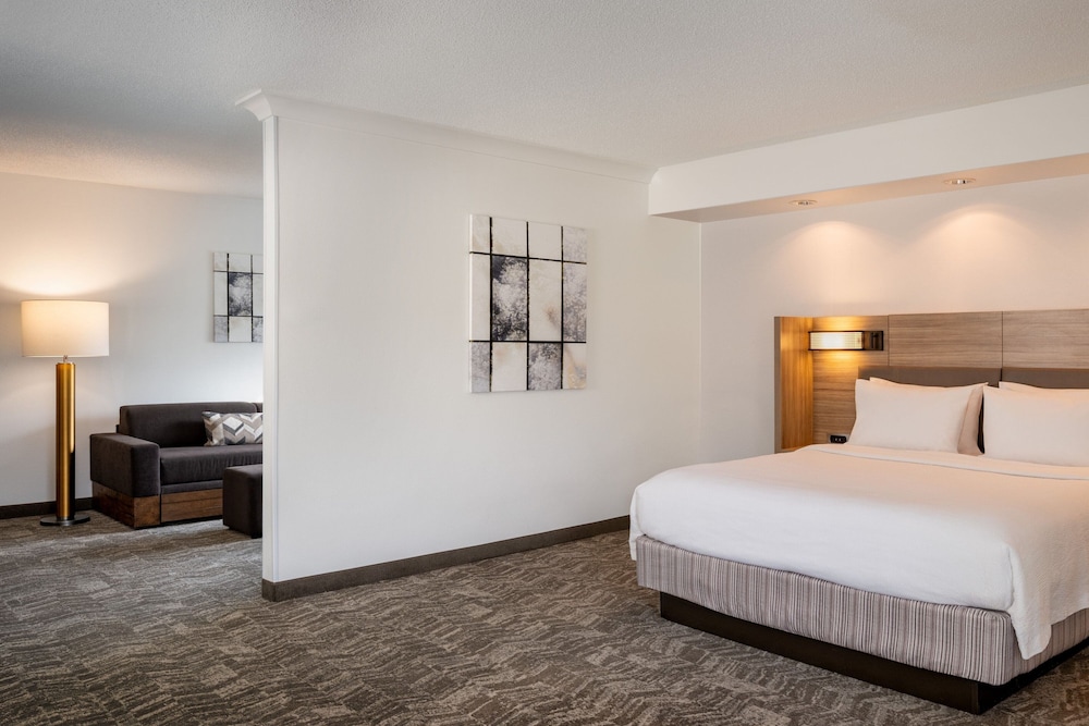 Executive Suite, 1 King Bed With Sofa Bed - Photo 8