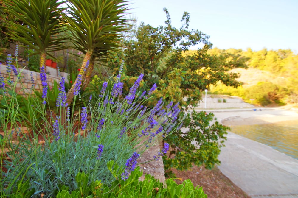 House (One Bedroom Holiday Home) photo 3