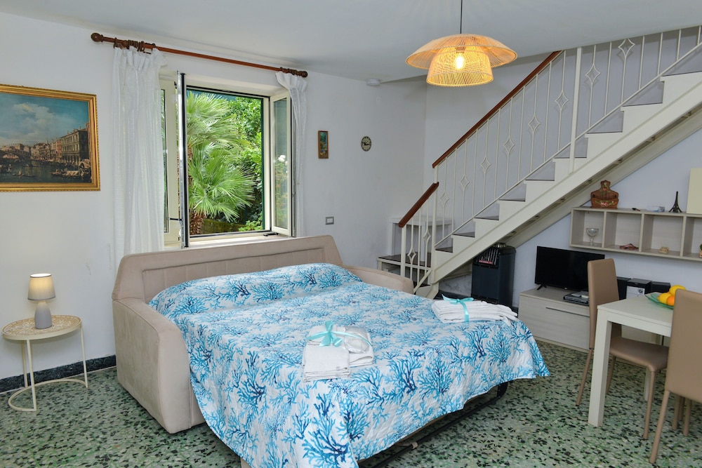 Traditional Studio, Patio, Garden View