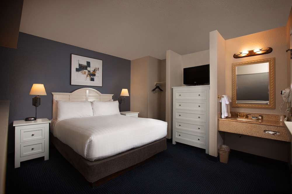Loft Suite, City View photo 2