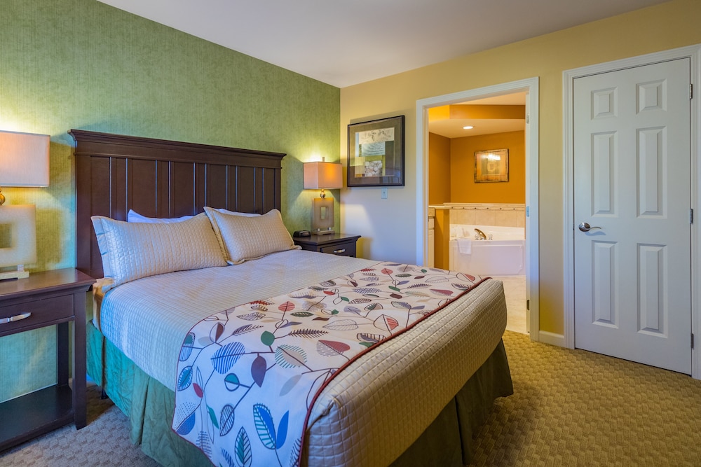Premier One Bedroom Suite photo 2