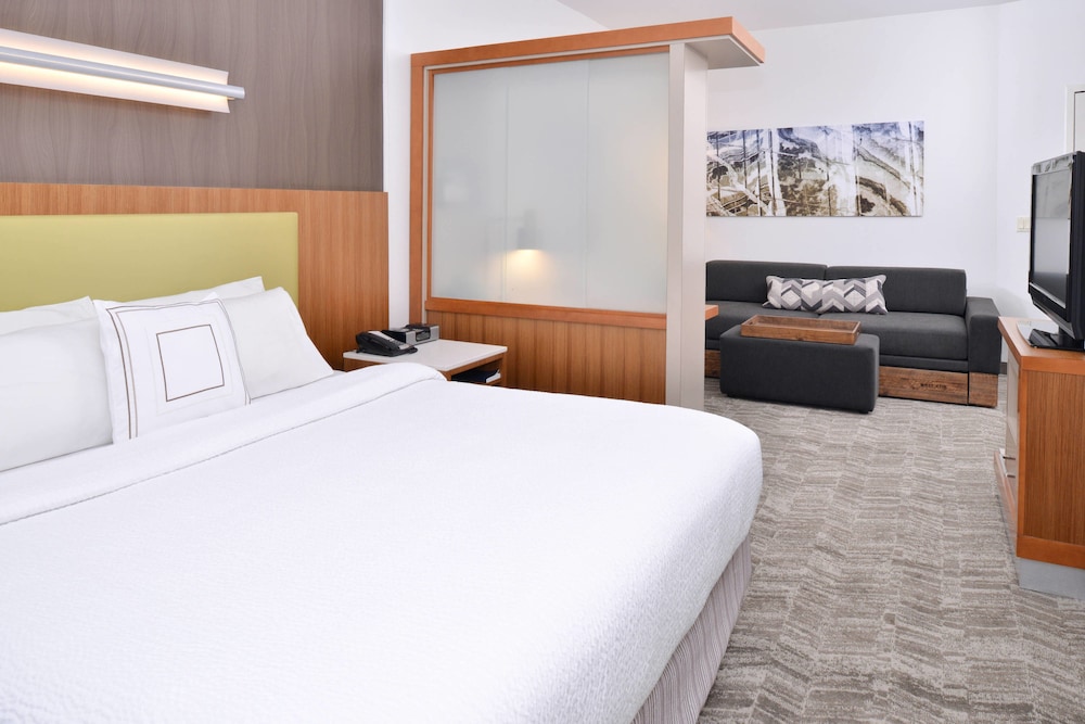Suite, 1 King Bed - Photo 3