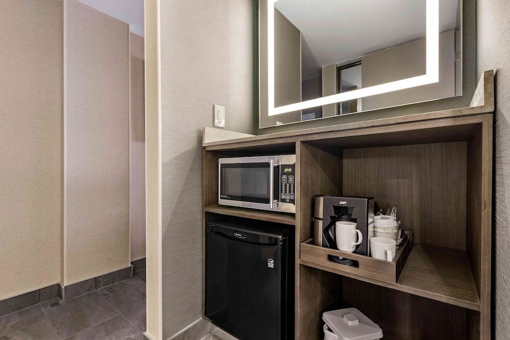 Elite Suite, 1 King Bed with Sofa bed, Non Smoking, Refrigerator & Microwave (with Sofabed) - Photo 5
