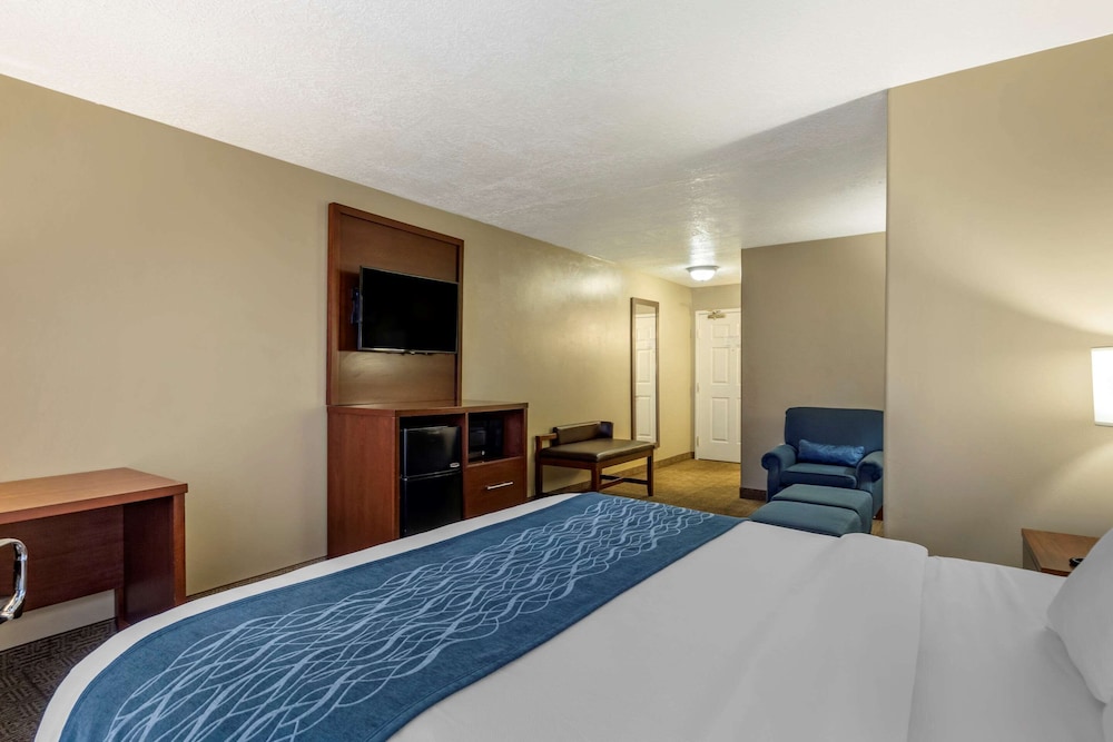 Suite, 1 King Bed with Sofa bed, Non Smoking - Photo 4