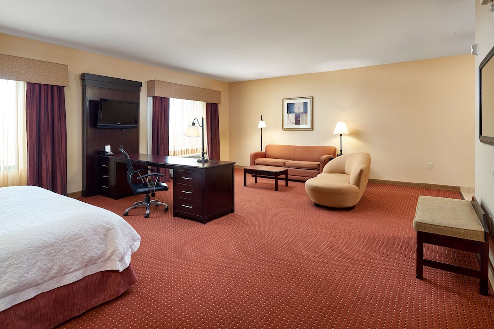 Suite, 1 King Bed, Accessible, Non Smoking - Photo 1