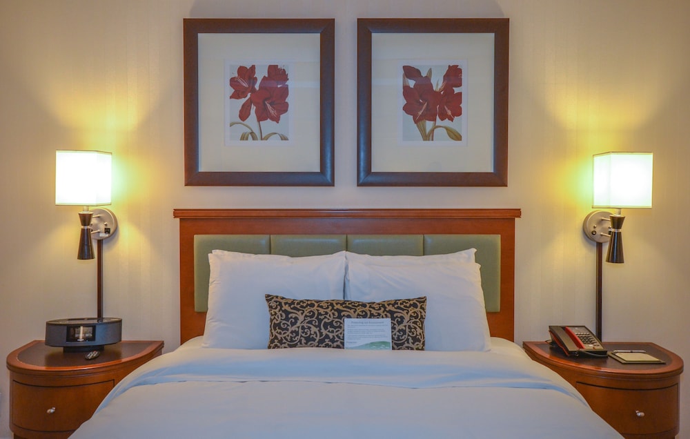 Deluxe King Room ADA