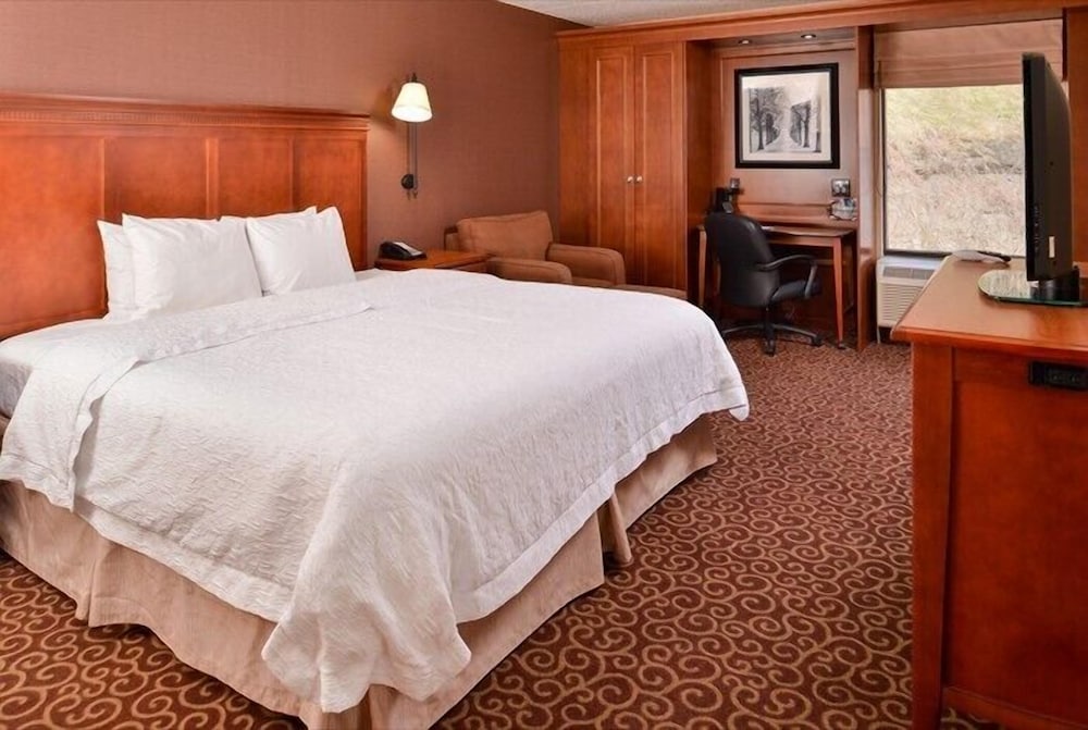 Standard Single Room, 1 King Bed photo 1