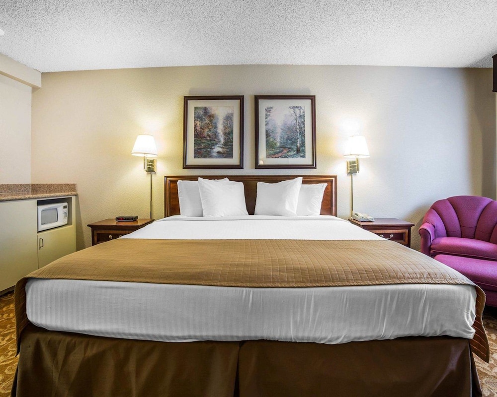 Standard Room, 1 King Bed, Non Smoking photo 3