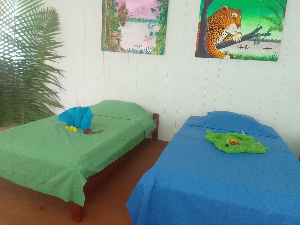 Basic Single Room photo 1
