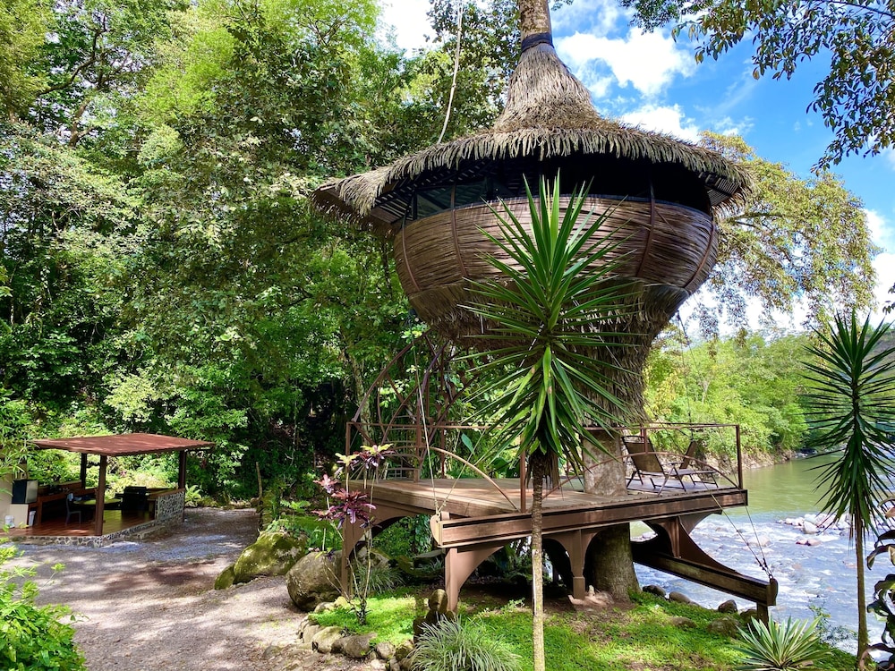 Tree House