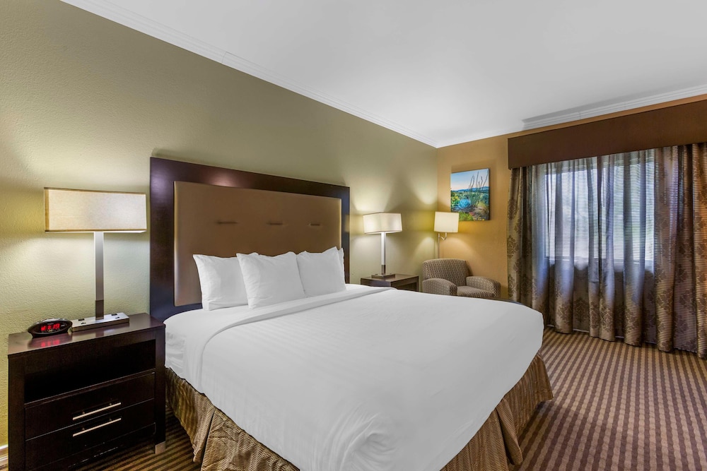 Signature Room - Photo 3