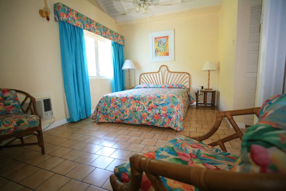 Standard Room, Non-Smoking Mountain View