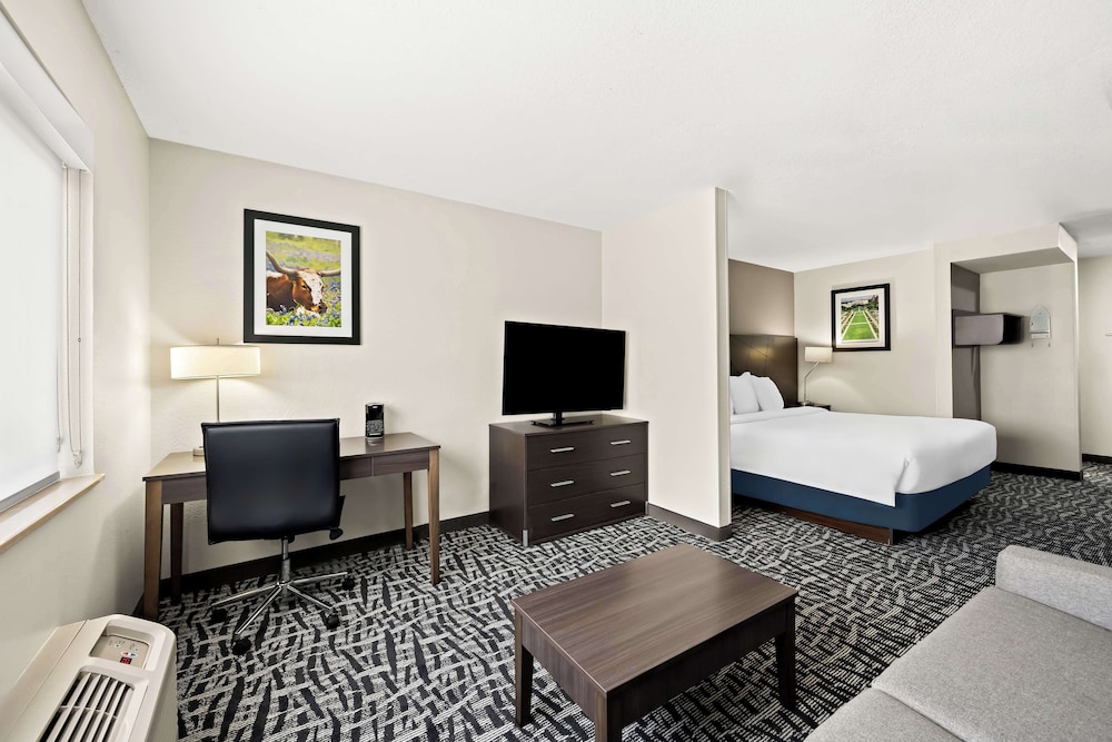 Suite, 1 King Bed, Accessible, Refrigerator & Microwave (with Sofabed) - Photo 2