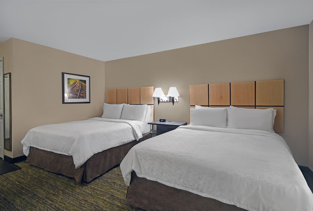 Studio Suite, 2 Double Beds (Full Kitchen) - Photo 3