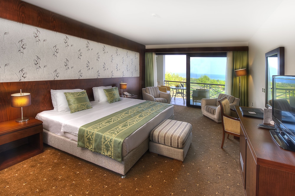 Deluxe Single Room photo 2