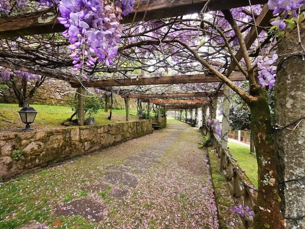 Basic Double or Twin Room, Garden View