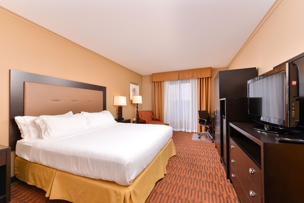 Suite, 1 Bedroom (1 Kng, Sofa Bed, Bth Shwr) - Photo 5