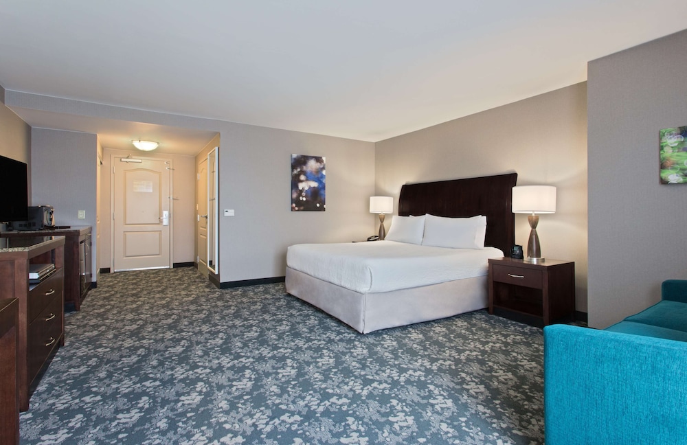 Room, 1 King Bed, Accessible (Roll-In Shower) - Photo 1