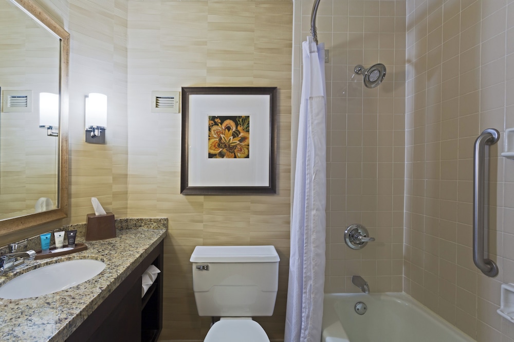 Premium Room, 1 King Bed, Accessible, Non Smoking (Mobility, Communications) - Photo 3