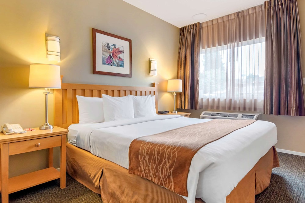 Room, 1 King Bed, Non Smoking (Efficiency) - Photo 1