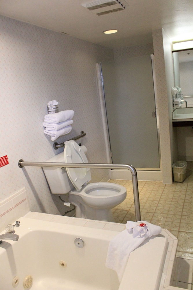 Standard Studio Suite, 1 Queen Bed, Non Smoking, Jetted Tub - Photo 7