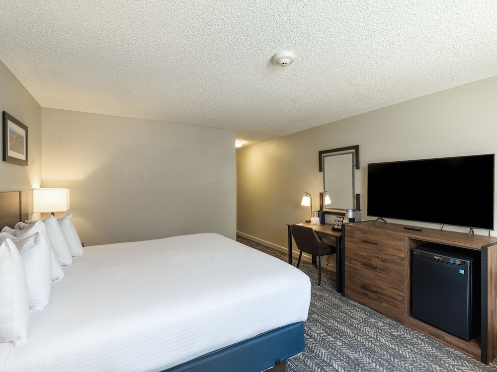 Room, 1 King Bed (East, Sorry No Pets)
