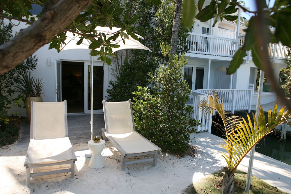 Iguana Suite