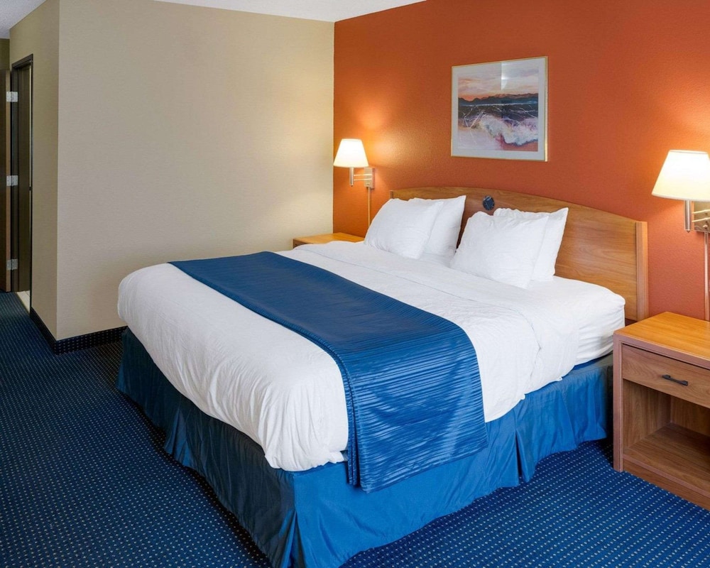 Suite, 1 King Bed, Non Smoking photo 2
