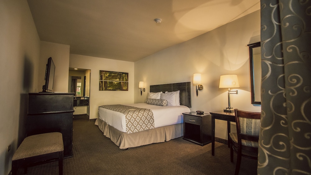 Single Room, 1 King Bed photo 1