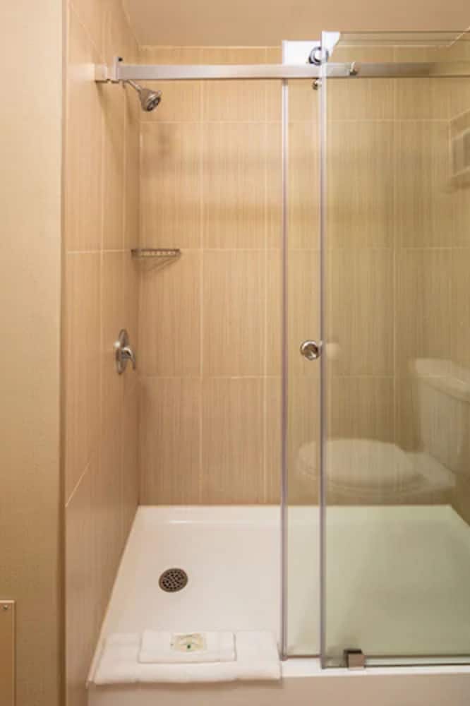walk - in shower with a glass door and toilet