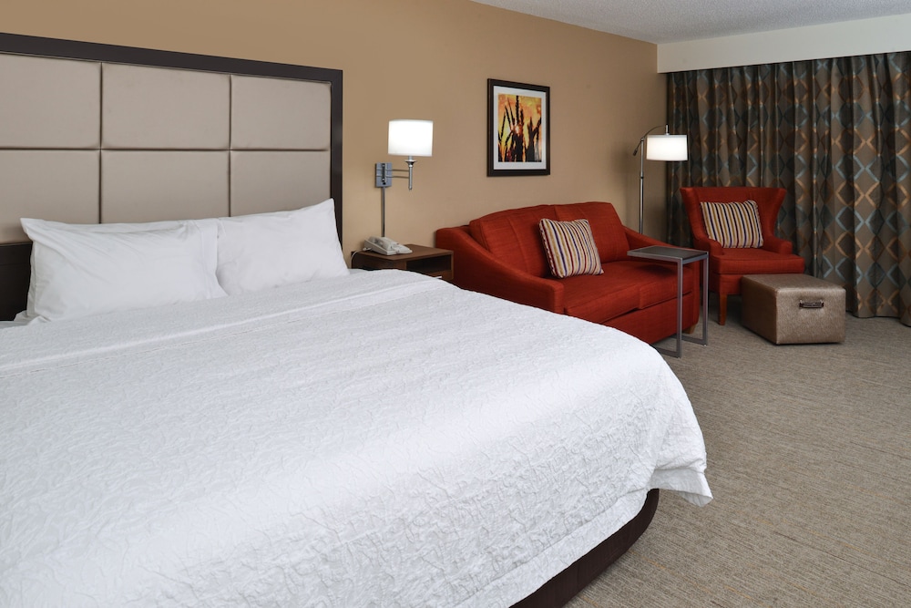 Room, 1 King Bed, Accessible, Bathtub (Mobility & Hearing) - Photo 3