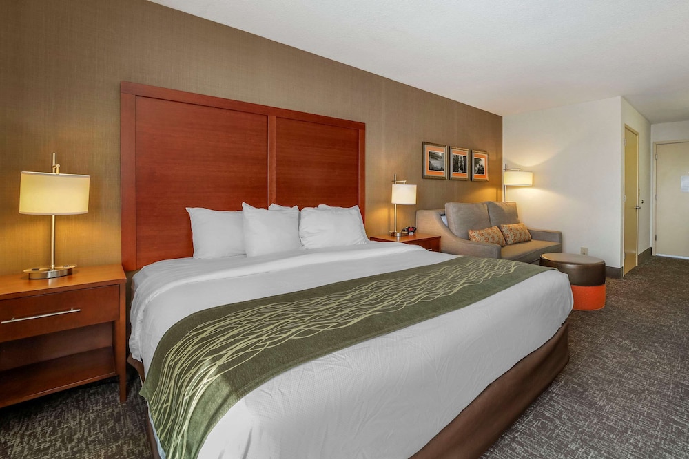 Standard Room, 1 King Bed, Non Smoking - Photo 1