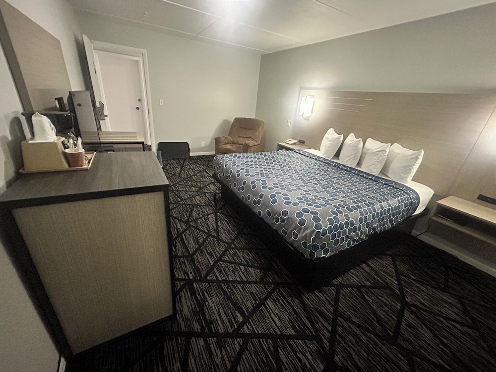Room, 1 King Bed, Non Smoking