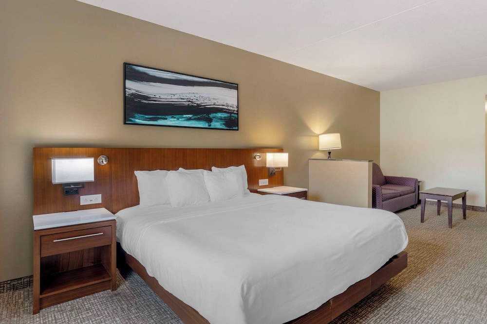 Suite - Photo 2