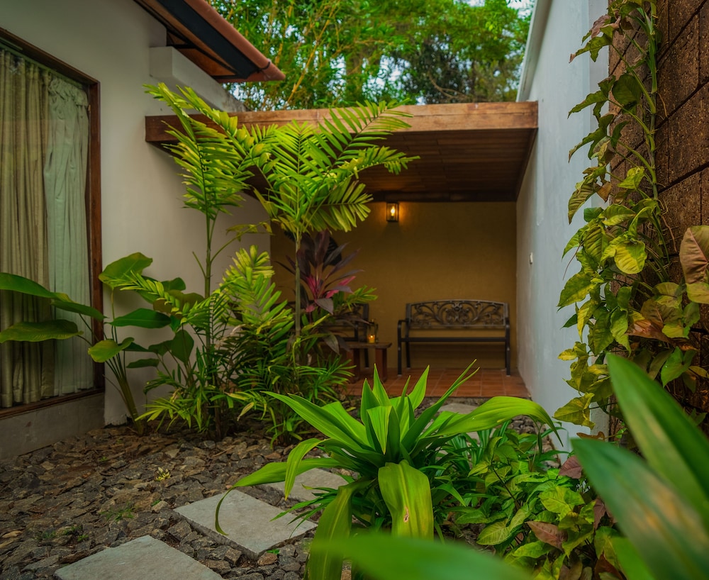 Premium Villa - Photo 8