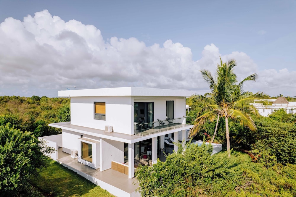 Tropical Nest - Photo 2