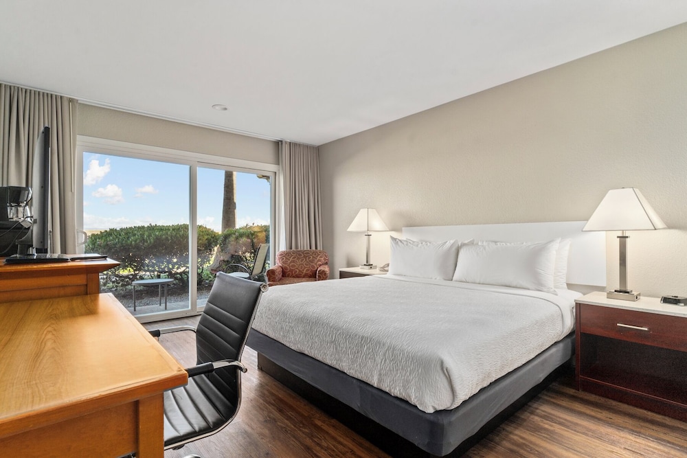 Room, 1 King Bed, Patio, Bay View photo 1