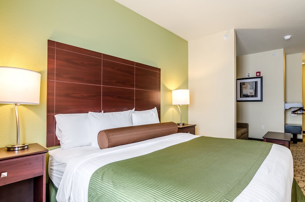 Suite, 1 King Bed, Non Smoking - Photo 4