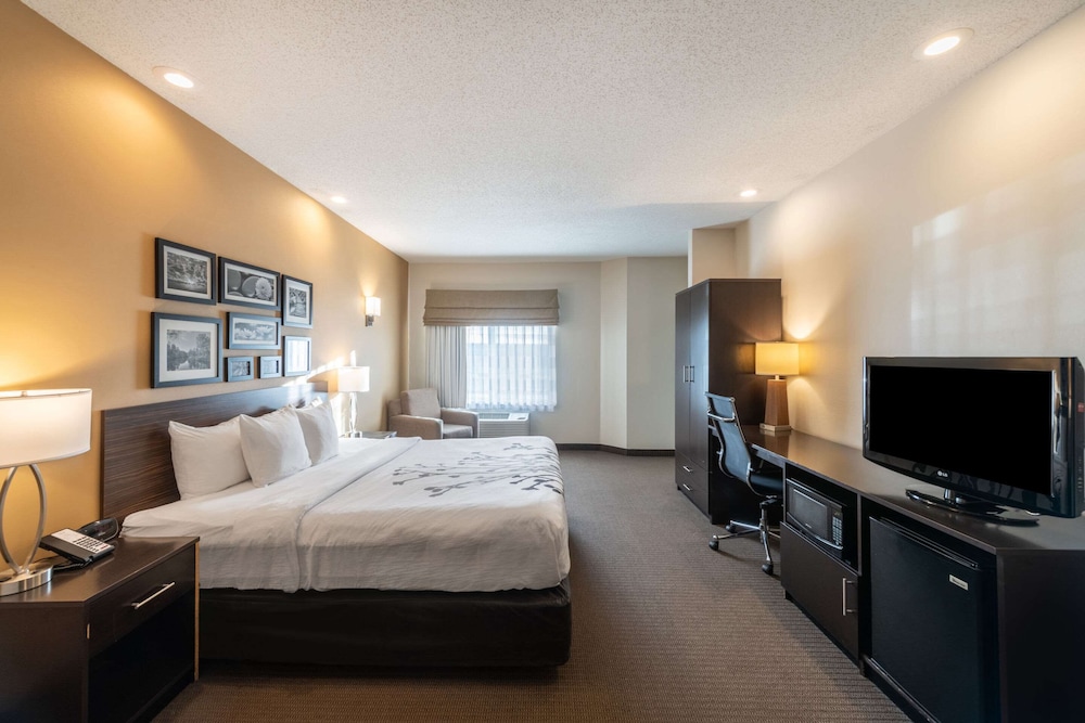 Suite, 1 King Bed with Sofa bed, Non Smoking