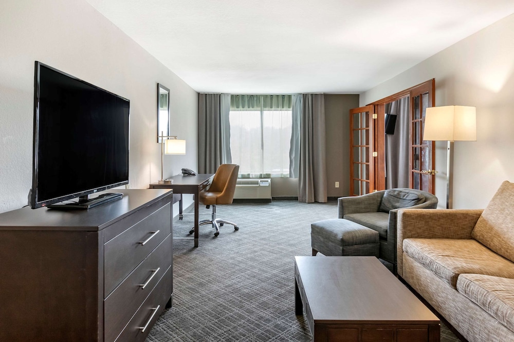 Suite, 1 King Bed with Sofa bed, Non Smoking - Photo 1