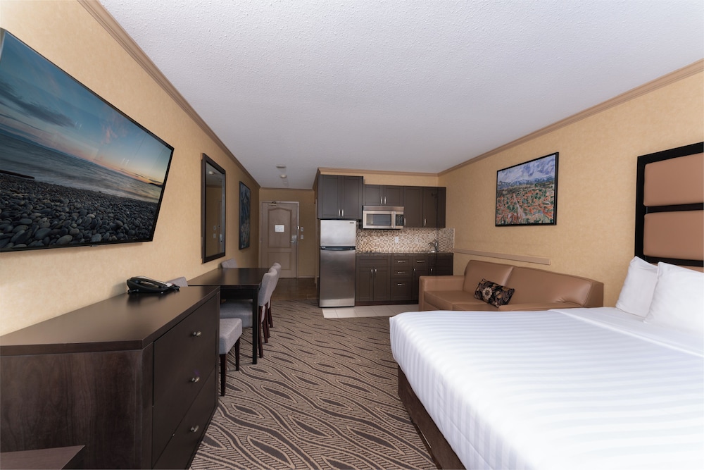 Studio, 1 King Bed, Kitchenette