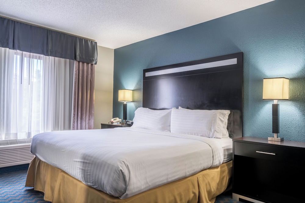 Suite, 1 King Bed, Accessible (Comm, Mobil, Roll In Shwr) - Photo 3